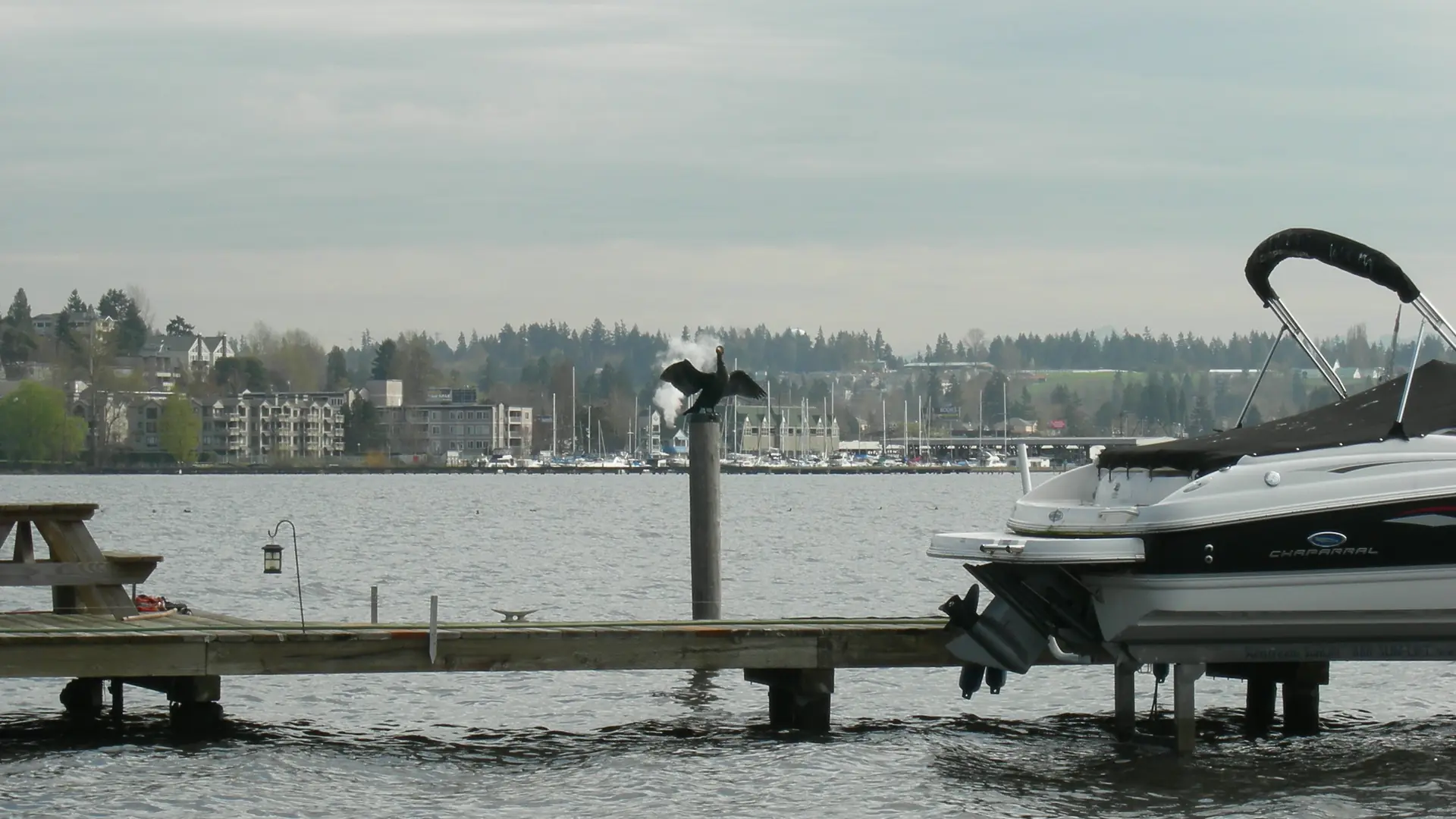 A dock on Lake Washington at Kenmore
