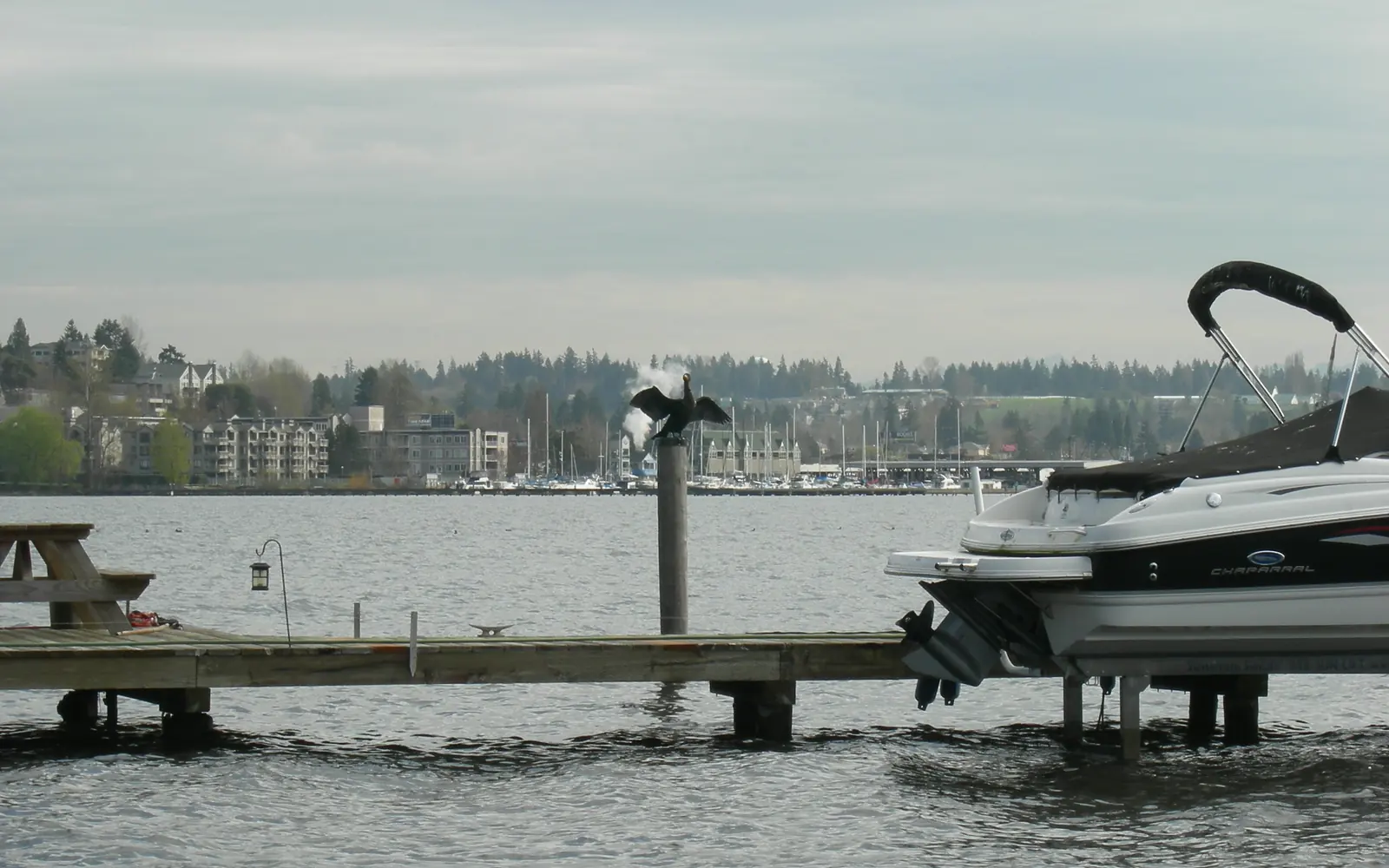 A dock on Lake Washington at Kenmore